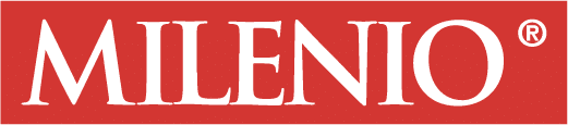 Logo du millénaire