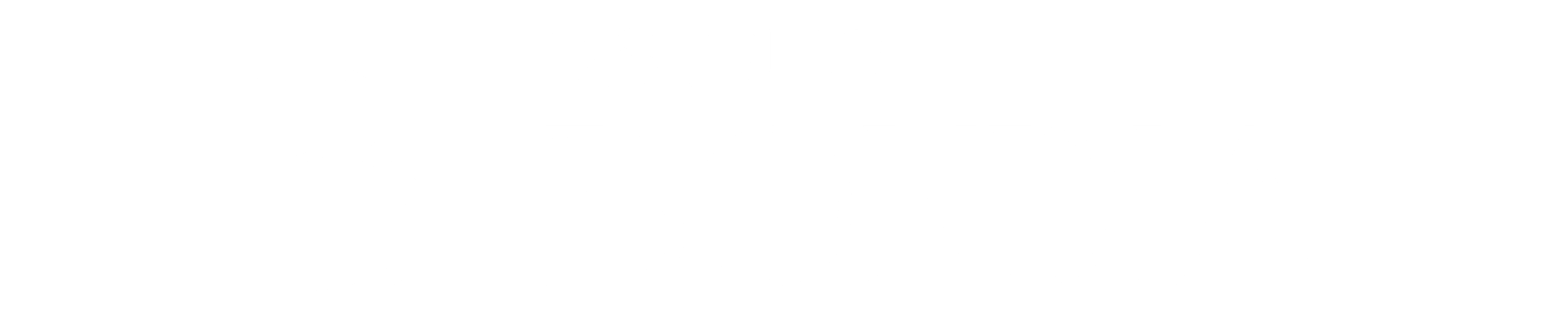Distrito Bondia Logotipo